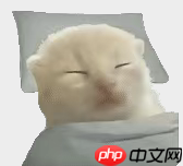 GPT-5.6刚发布,OpenAI安全主管就跑路了??