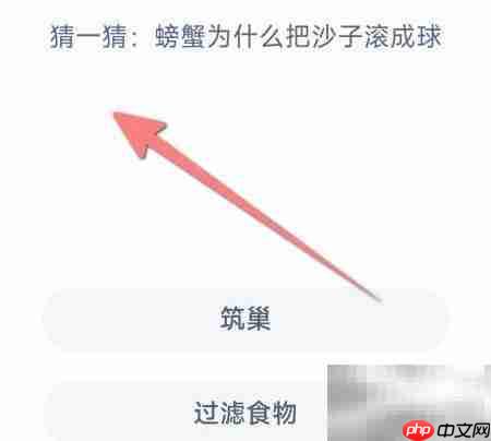 螃蟹滚沙球之谜