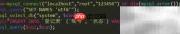PHP执行含中文字段SQL