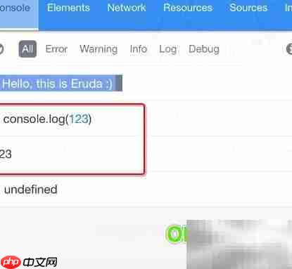 Eruda控制台使用指南