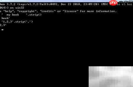 Python strip方法详解