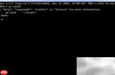 Python strip方法详解