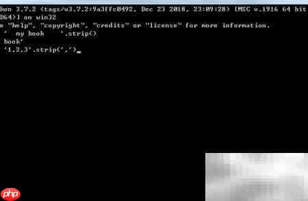 Python strip方法详解