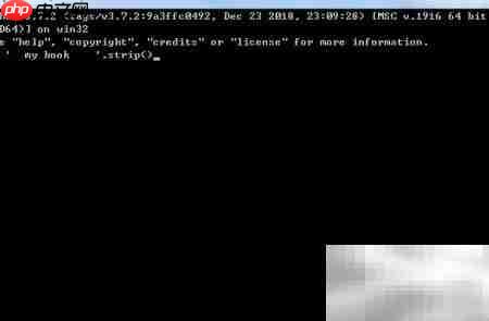 Python strip方法详解
