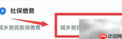 乡镇养老保险缴费指南