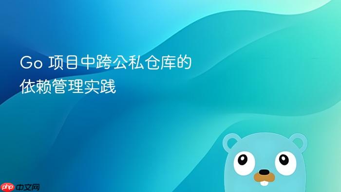 Go 项目中跨公私仓库的依赖管理实践
