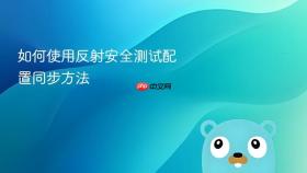 如何使用反射安全测试配置同步方法