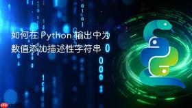 如何在 Python 输出中为数值添加描述性字符串