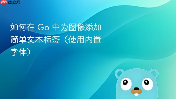 如何在 Go 中为图像添加简单文本标签(使用内置字体)