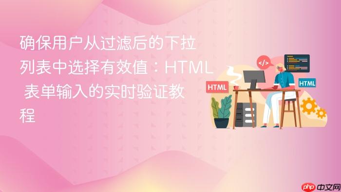 确保用户从过滤后的下拉列表中选择有效值:HTML 表单输入的实时验证教程