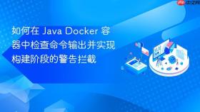 如何在 Java Docker 容器中检查命令输出并实现构建阶段的警告拦截