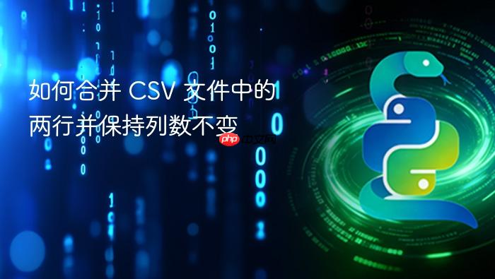 如何合并 CSV 文件中的两行并保持列数不变
