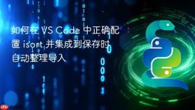 如何在 VS Code 中正确配置 isort 并集成到保存时自动整理导入