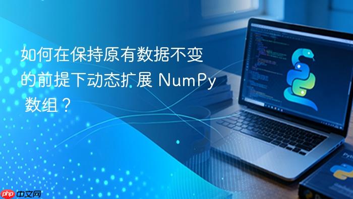 如何在保持原有数据不变的前提下动态扩展 NumPy 数组？
