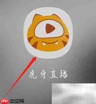 虎牙直播查看虎翼推荐指南