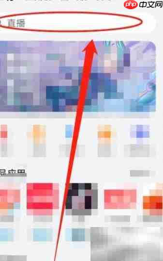Ch Play下载方法指南