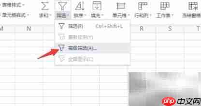 电子文档高级筛选设置技巧