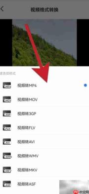 车载视频格式转换方法