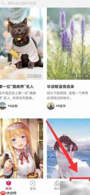 小米画报历史查看方法