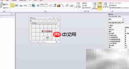 Access报表控件属性设置