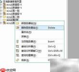 Aqua Data Studio删除服务器组