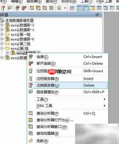 Aqua Data Studio删除服务器组