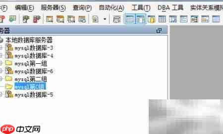 Aqua Data Studio删除服务器组