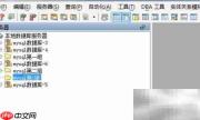 Aqua Data Studio删除服务器组