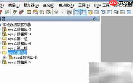 Aqua Data Studio删除服务器组
