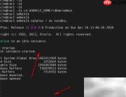 Oracle集群补丁步骤详解