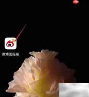 微博国际版关闭音效教程