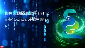 如何正确隔离全局 Python 与 Conda 环境中的 pip
