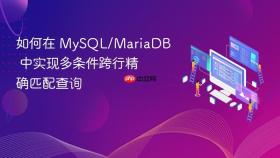 如何在 MySQL/MariaDB 中实现多条件跨行精确匹配查询
