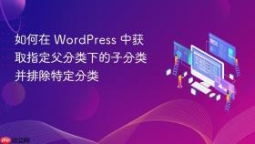 如何在 WordPress 中获取指定父分类下的子分类并排除特定分类