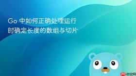 Go 中如何正确处理运行时确定长度的数组与切片