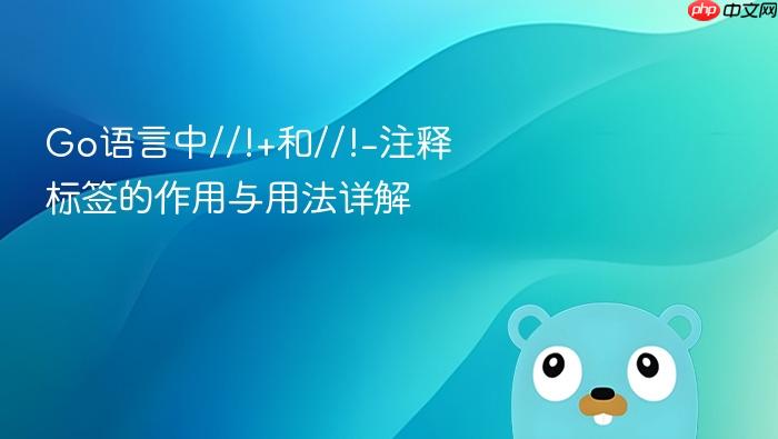 Go语言中//!+和//!-注释标签的作用与用法详解