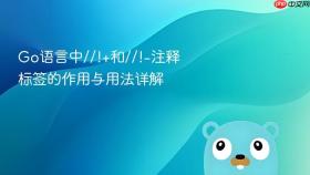 Go语言中//!+和//!-注释标签的作用与用法详解