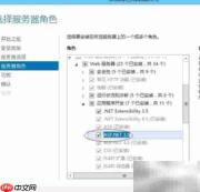 Windows Server 2019安装.NET