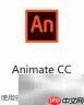Adobe认证中国停考?