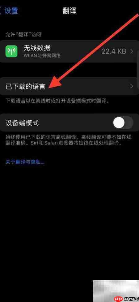 iPhone手机翻译意大利语下载