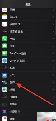 iPhone手机翻译意大利语下载
