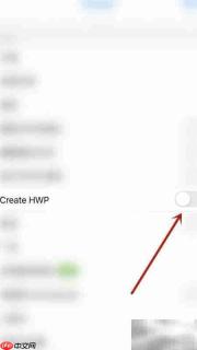 Polaris Office启用HWP设置指南