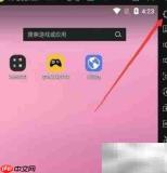 雷电模拟器平板显示设置