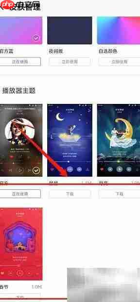 爱音乐App主题皮肤设置方法