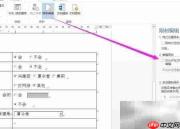 Word ActiveX控件问卷制作