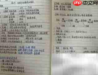 理综高效学习法