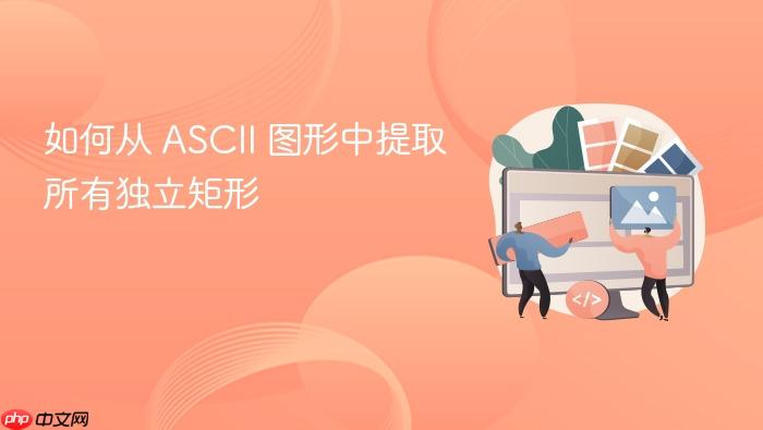 如何从 ASCII 图形中提取所有独立矩形