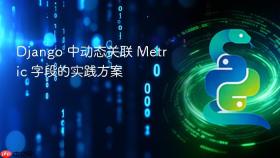 Django 中动态关联 Metric 字段的实践方案