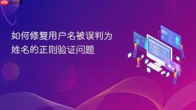 如何修复用户名被误判为姓名的正则验证问题
