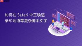 如何在 Safari 中正确渲染印地语等复杂脚本文字
